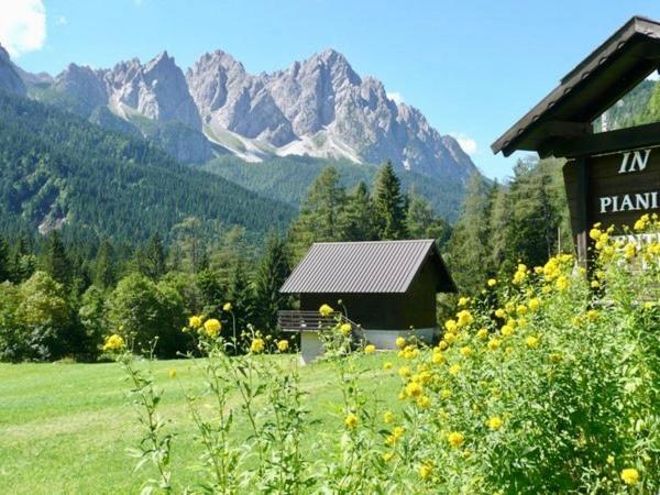 Albergo Piani Di Luzza Forni Avoltri Kültér fotó